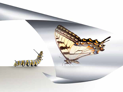 VEGA95110意大利镜面铝