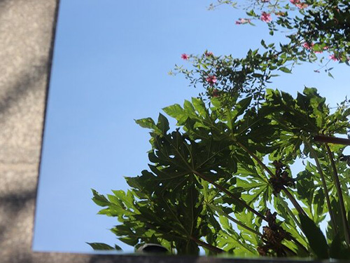 卷对卷打磨镜面铝